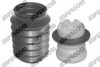 ORIGINAL IMPERIUM 48080 Dust Cover Kit, shock absorber